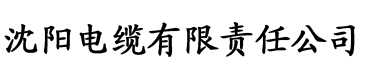 亚洲中文字幕一区二区三区在线91电缆厂logo